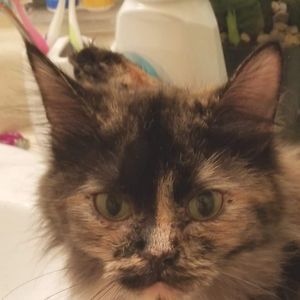 Meet your Posher, Eegan